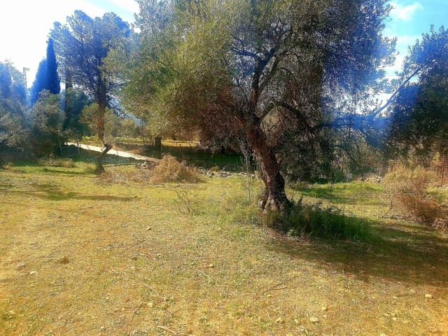 Ubebygd land til salgs i Ronda - € 195 000 (Ref: 9234876)