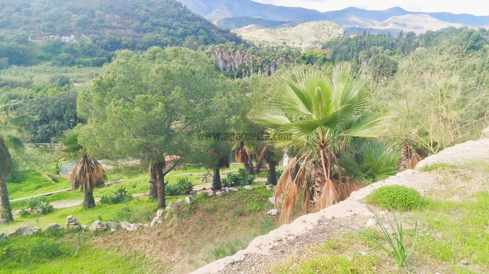 4 soveværelse Villa til salg i New Golden Mile med swimmingpool garage - € 2.500.000 (Ref: 9234879)