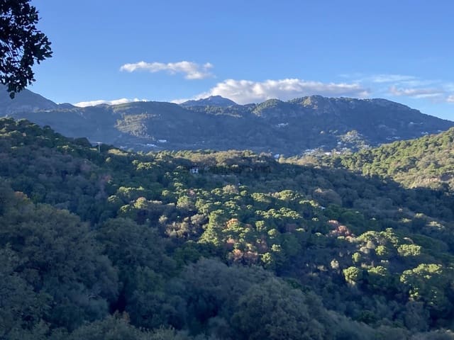 5 chambre Villa/Maison à vendre à Casares Pueblo, Casares avec piscine garage - 2 500 000 € (Ref: 9234882)