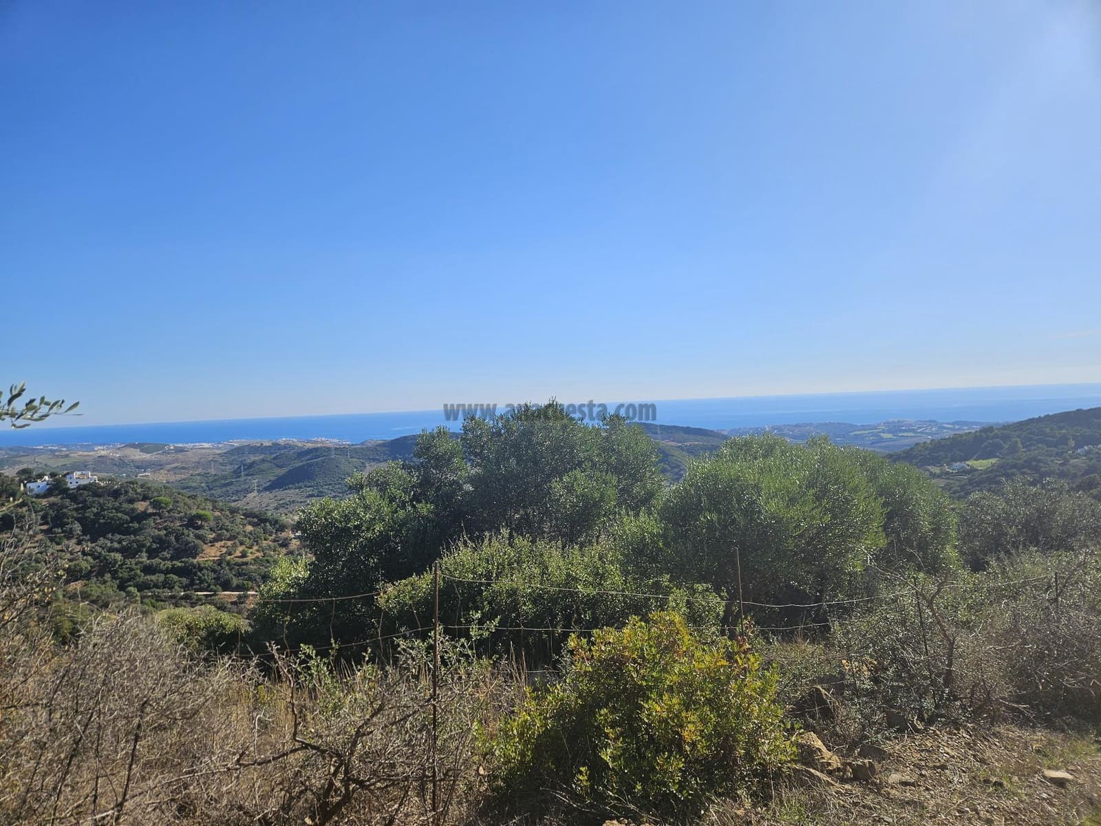 Bouwgrond te koop in Casares - € 750.000 (Ref: 9234884)