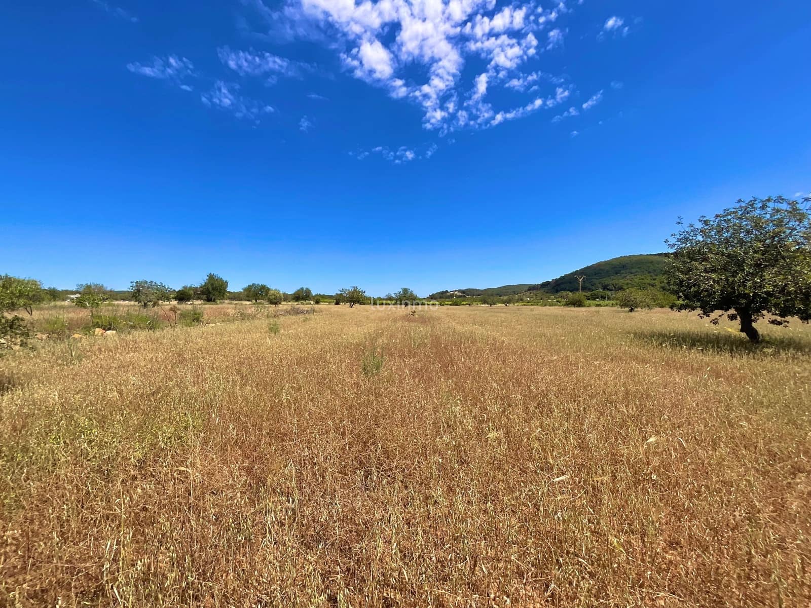 Terreno Non Edificato in vendita in Santa Eulalia / Santa Eularia - 1.800.000 € (Rif: 10034351)