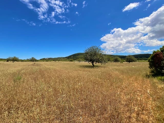 Terreno Non Edificato in vendita in Santa Eulalia / Santa Eularia - 1.800.000 € (Rif: 10034351)
