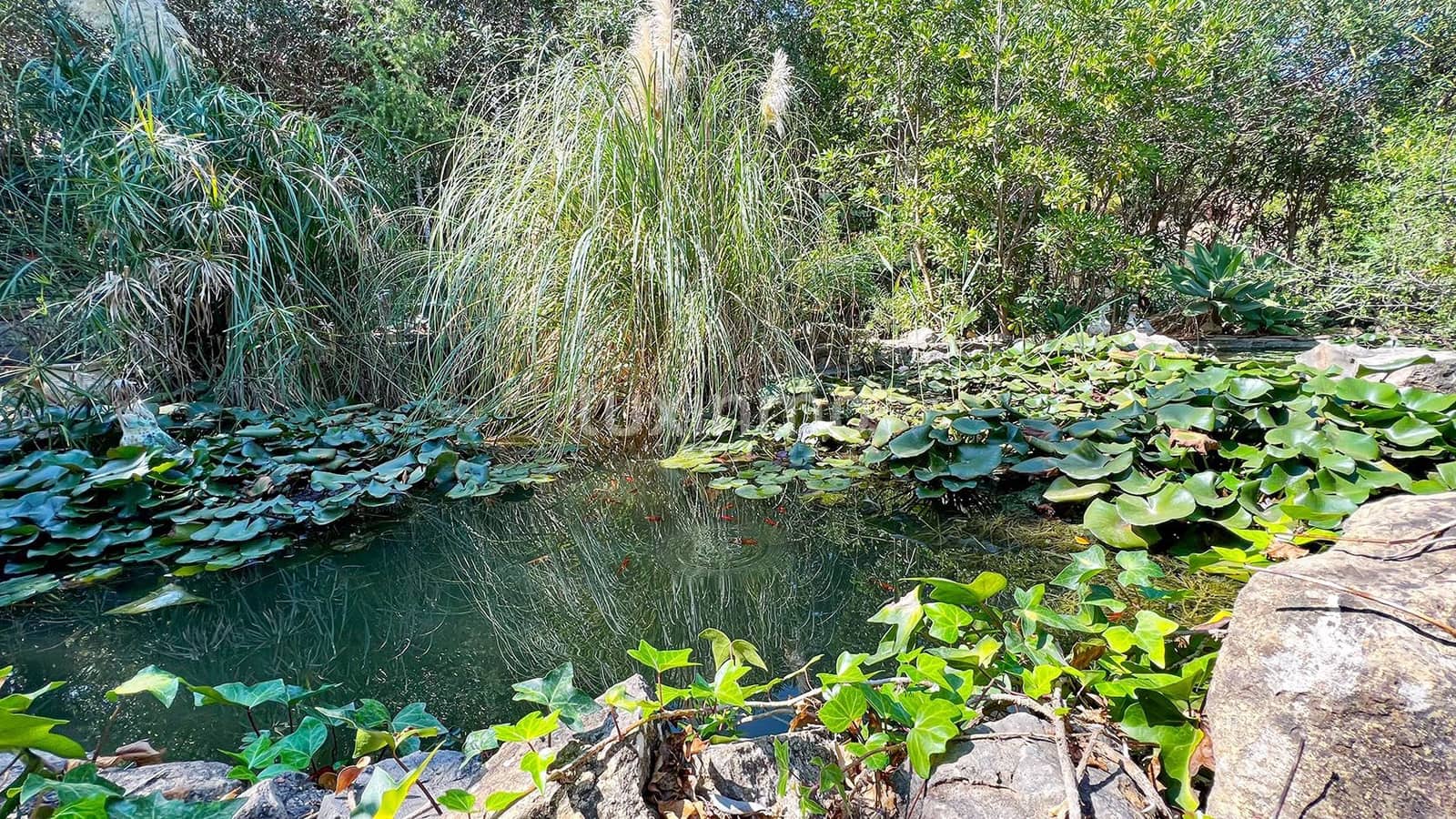 5 sypialnia Willa na sprzedaż w Denia z basenem garażem - 850 000 € (Ref: 10079230)
