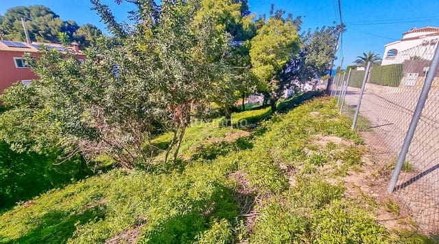 Teren niezagospodarowany na sprzedaż w El Montgó, Dénia - 140 000 € (Ref: 10079244)