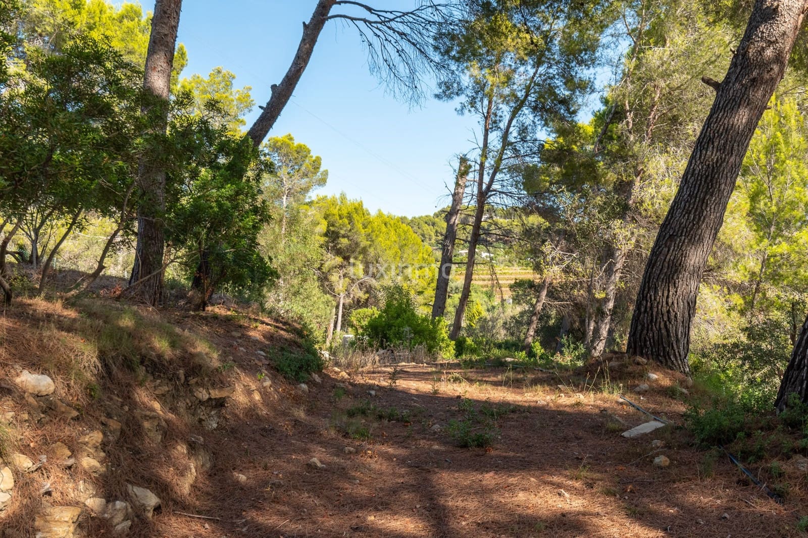 5 slaapkamer Villa te koop in Denia met zwembad garage - € 1.450.000 (Ref: 10079606)