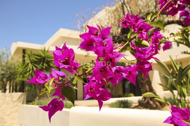 4 slaapkamer Villa te koop in San Fulgencio met zwembad garage - € 1.497.750 (Ref: 10082126)