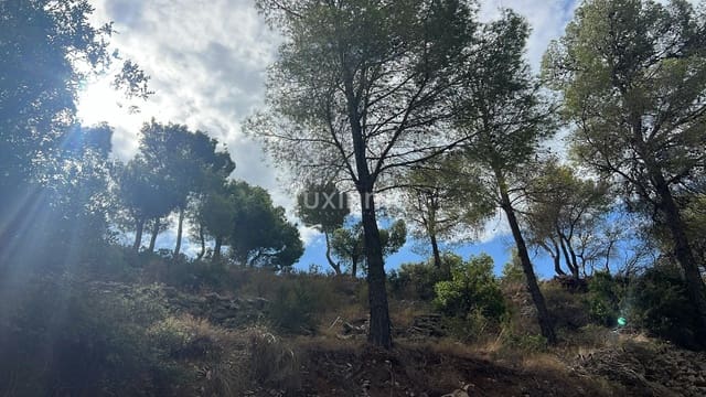Terreno Não Urbanizado para venda em Altea - 315 000 € (Ref: 10091601)
