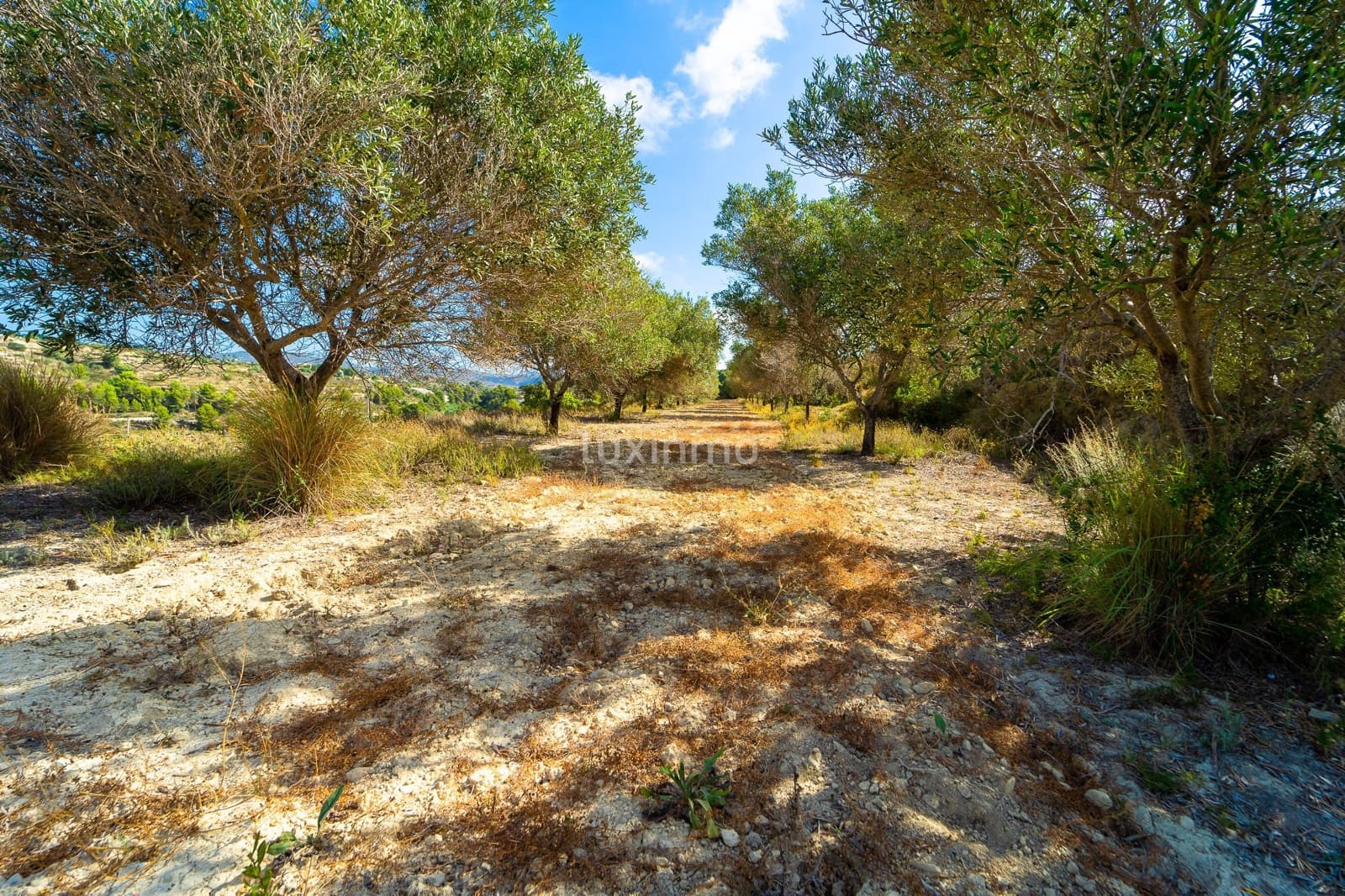 Ubebygd land til salgs i Benissa - € 210 000 (Ref: 10167242)