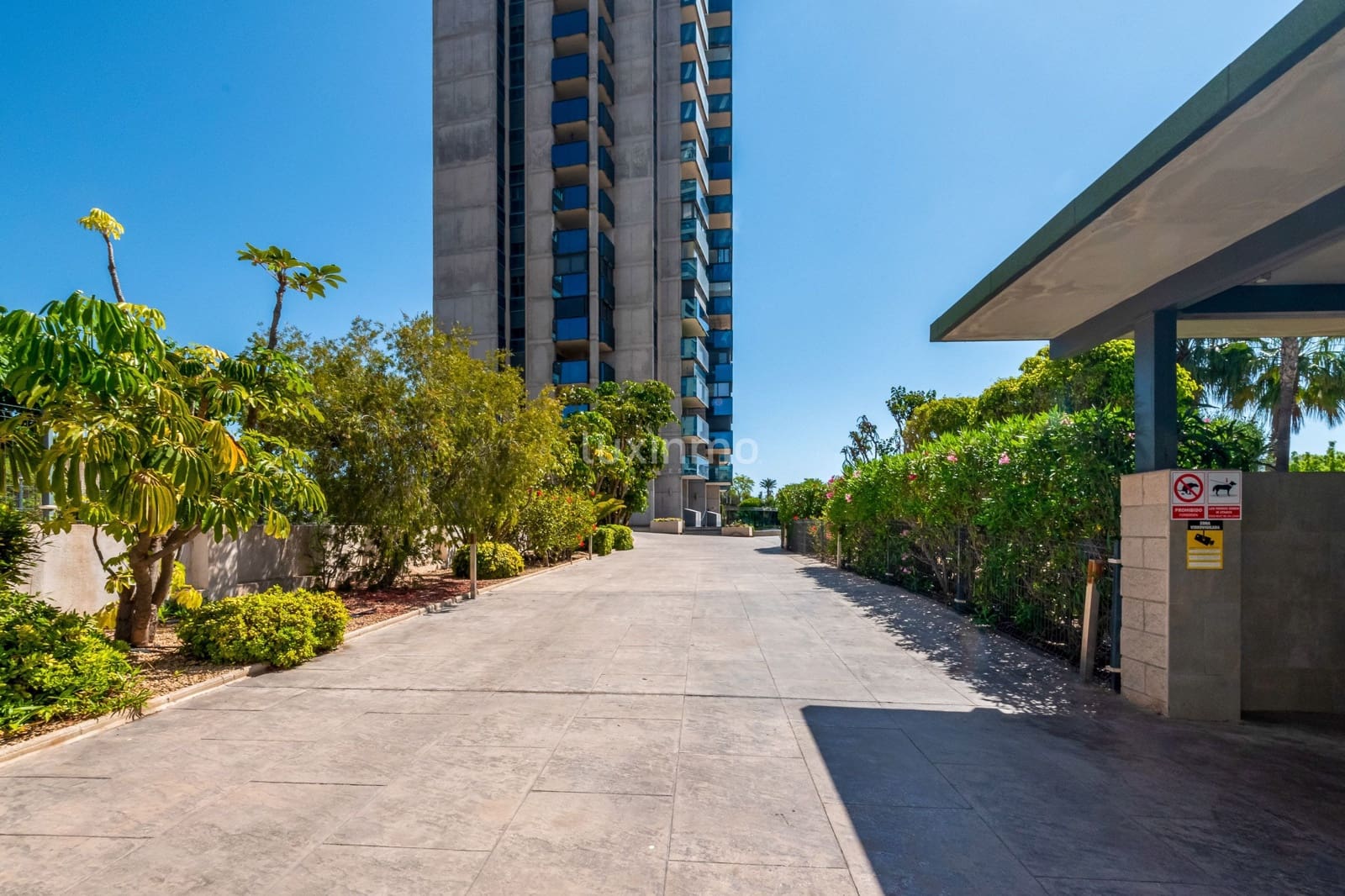 3 makuuhuone Kattohuoneisto vuokrattavana paikassa Benidorm mukana uima-altaan 
autotalli - 3 000 € (Ref: 8785916)