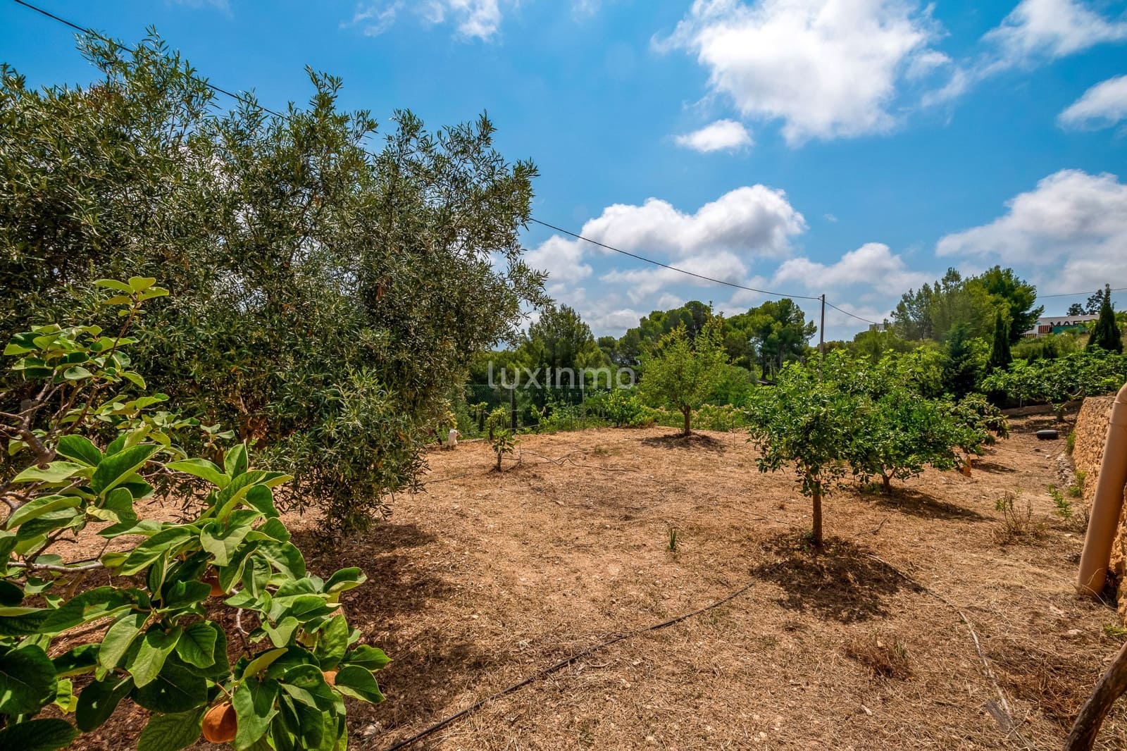 7 sovrum Villa till salu i Benidorm med pool garage - 1 635 000 € (Ref: 8834047)