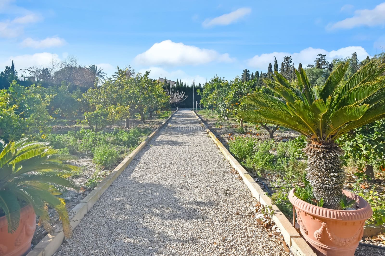 5 slaapkamer Villa te koop in Alicante stad met zwembad garage - € 1.550.000 (Ref: 8838205)