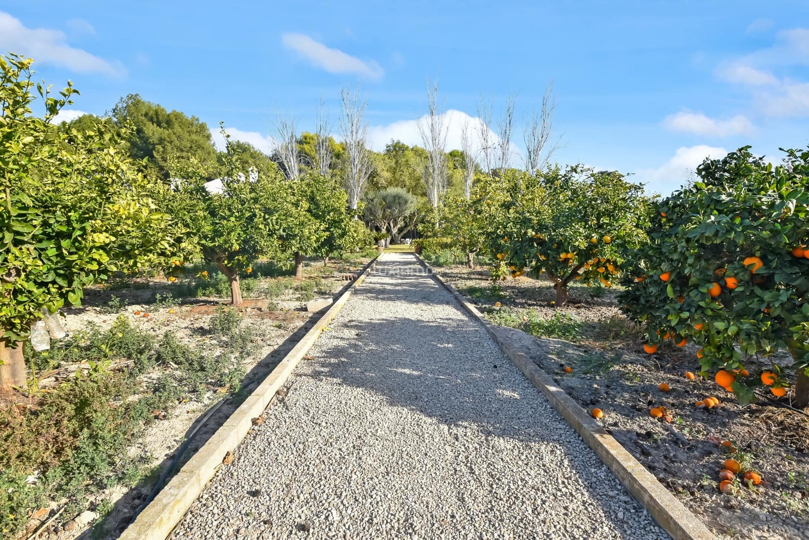 5 slaapkamer Villa te koop in Alicante stad met zwembad garage - € 1.550.000 (Ref: 8838205)