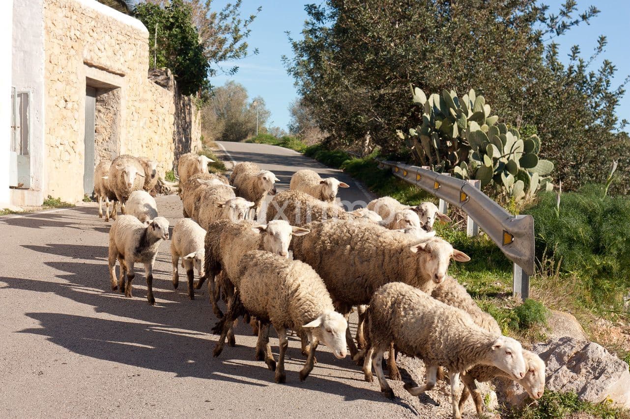 5 soveværelse Villa til salg i Sant Antoni de Portmany med garage - € 2.250.000 (Ref: 8840517)