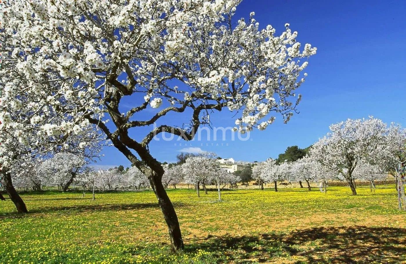 5 soveværelse Villa til salg i Sant Antoni de Portmany med garage - € 2.250.000 (Ref: 8840517)