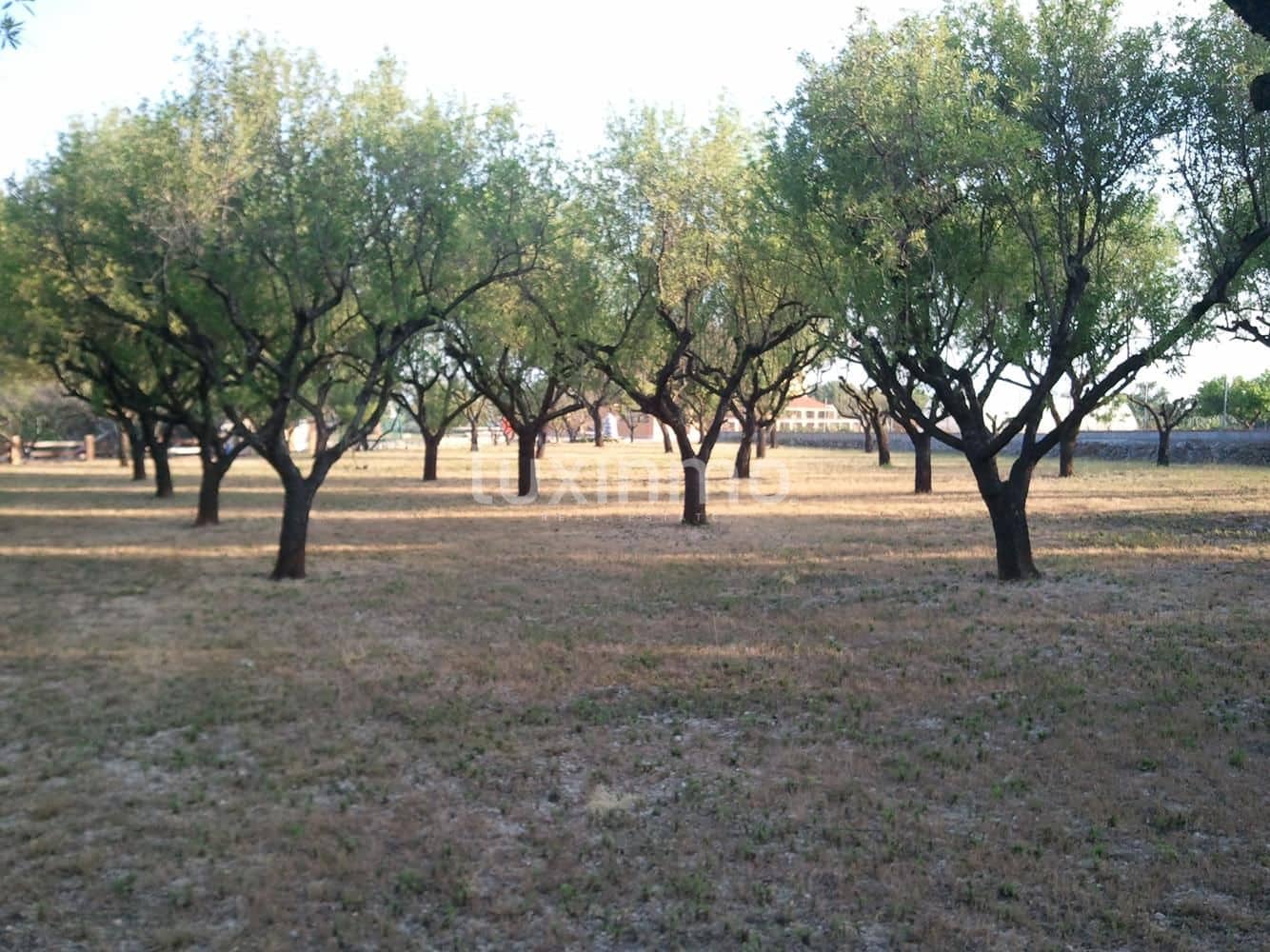 5 soveværelse Villa til salg i Denia med swimmingpool garage - € 1.450.000 (Ref: 8840540)