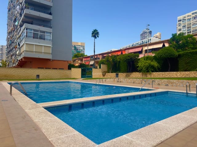 1 bedroom Studio for rent in Benidorm with pool - € 800 (Ref: 9175306)