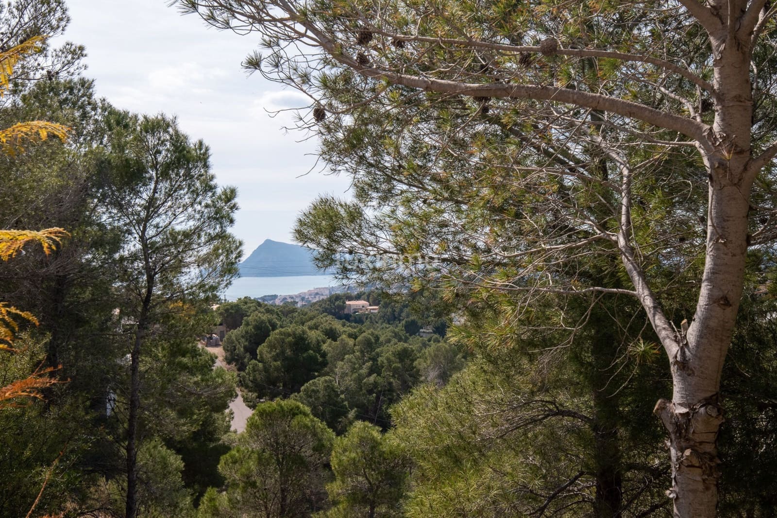 Undeveloped Land for sale in Altea - € 350,000 (Ref: 9290903)