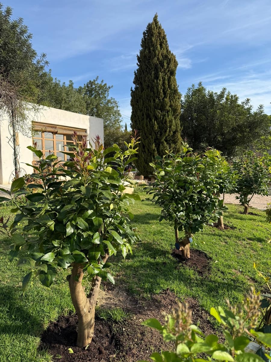 3 Zimmer Villa zu verkaufen in Parcent mit Pool - 600.000 € (Ref: 9304758)