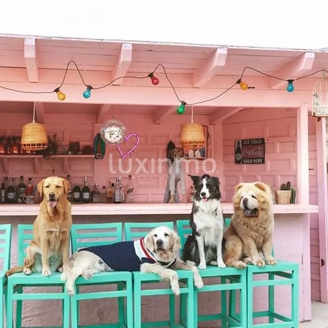 6 bedroom Villa for sale in Jijona / Xixona with pool garage - € 1,200,000 (Ref: 9304802)