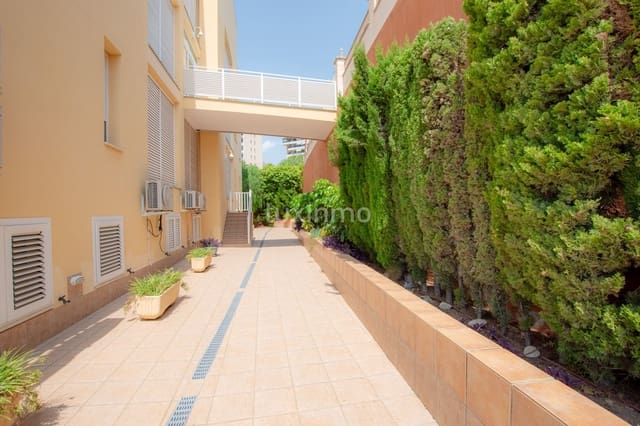 2 bedroom Apartment for rent in Calpe / Calp with pool garage - € 1,300 (Ref: 9386411)