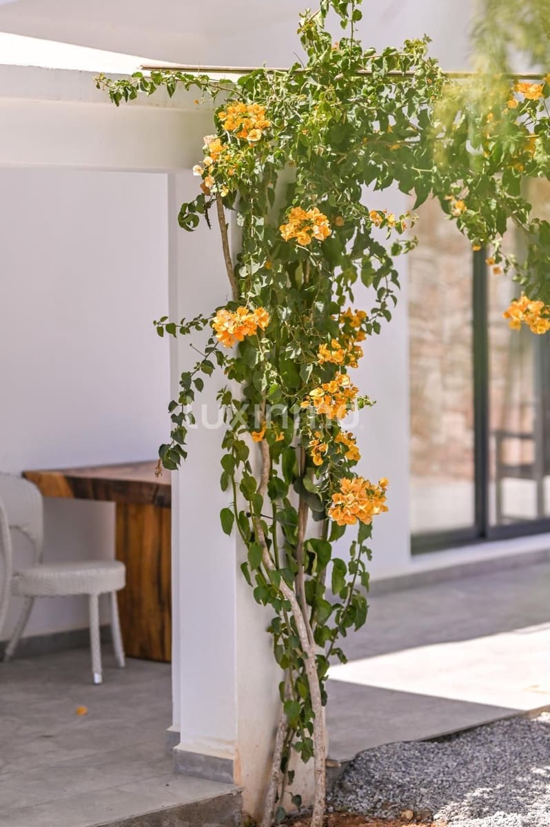 4 makuuhuone Huvila vuokrattavana paikassa San Jose / Sant Josep de Sa Talaia mukana uima-altaan 
autotalli - 10 000 € (Ref: 9396585)