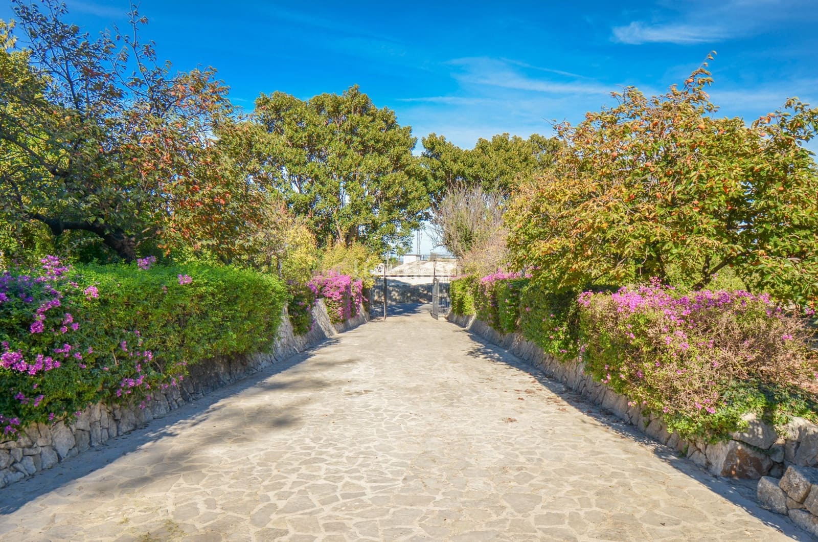 7 bedroom Villa for sale in Pego with pool garage - € 995,000 (Ref: 9452538)