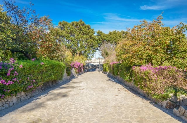 7 chambre Villa/Maison à vendre à Pego avec piscine garage - 995 000 € (Ref: 9511874)