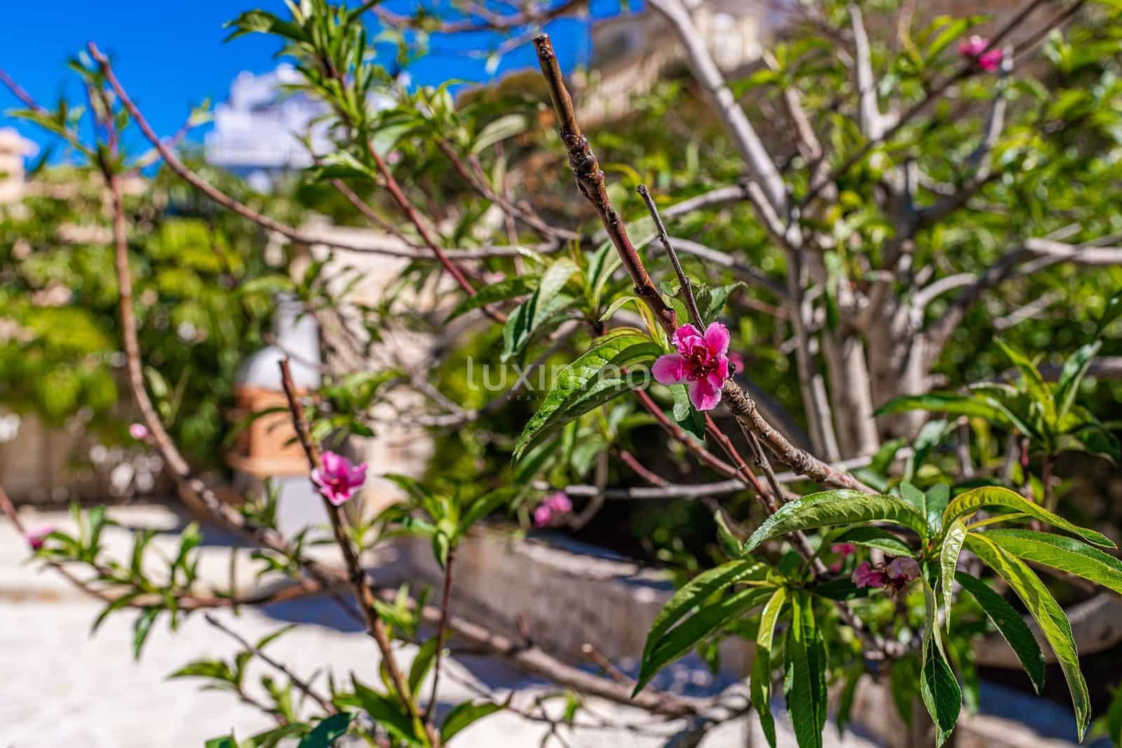 4 sovrum Villa till salu i Benitachell / Benitatxell med pool garage - 749 000 € (Ref: 9518362)