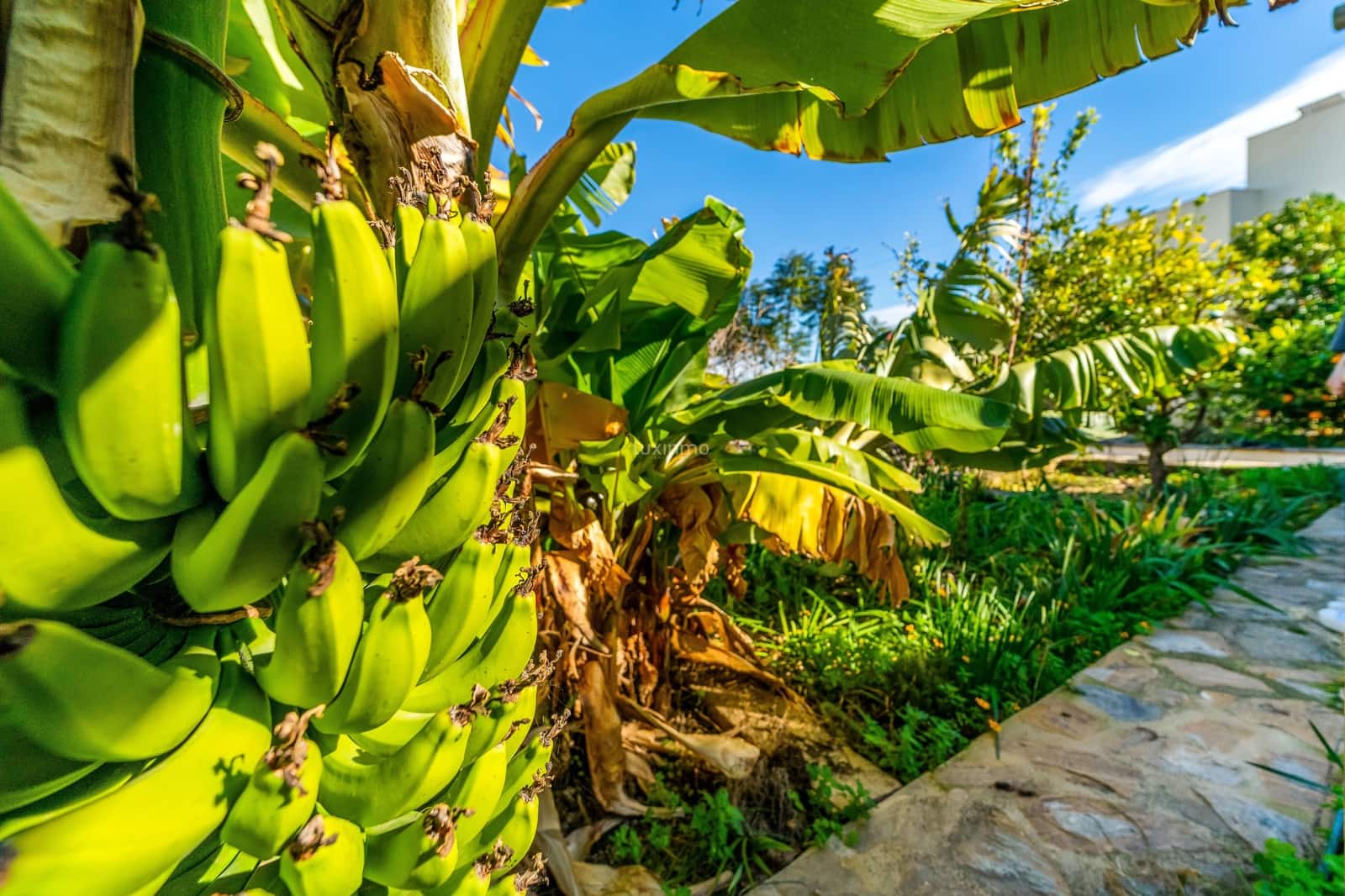 3 soverom Villa til salgs i Calpe / Calp med svømmebasseng garasje - € 4 200 000 (Ref: 9587998)