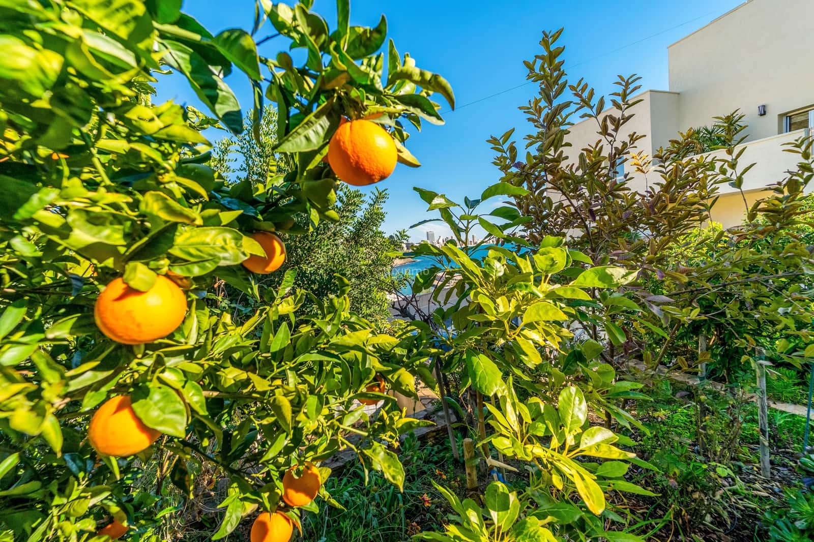 3 soverom Villa til salgs i Calpe / Calp med svømmebasseng garasje - € 4 200 000 (Ref: 9587998)