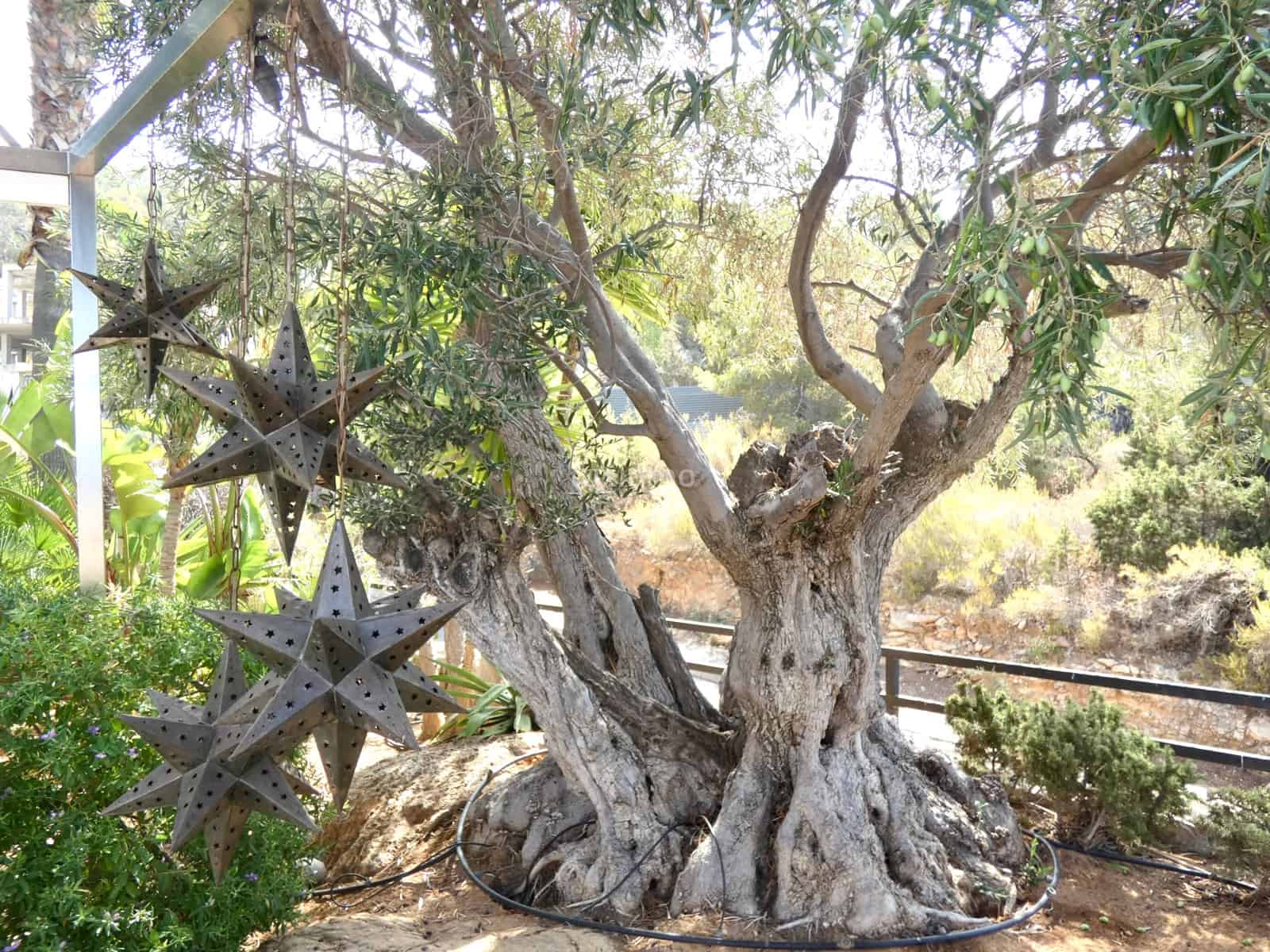 3 sovrum Villa till salu i San Jose / Sant Josep de Sa Talaia med pool garage - 1 499 000 € (Ref: 9597190)