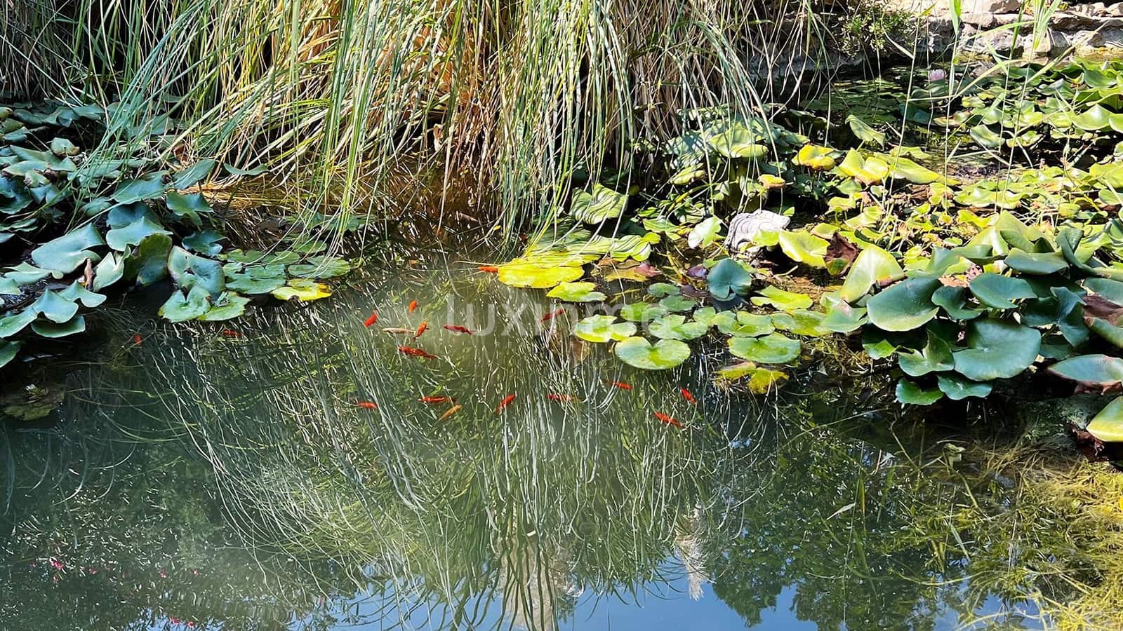 5 quarto Moradia para venda em Denia com piscina garagem - 850 000 € (Ref: 9785007)