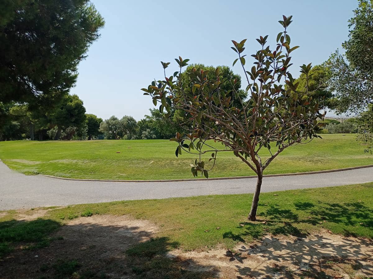 2 bedroom Apartment for sale in Muchamiel / Mutxamel with pool garage - € 282,000 (Ref: 9640567)