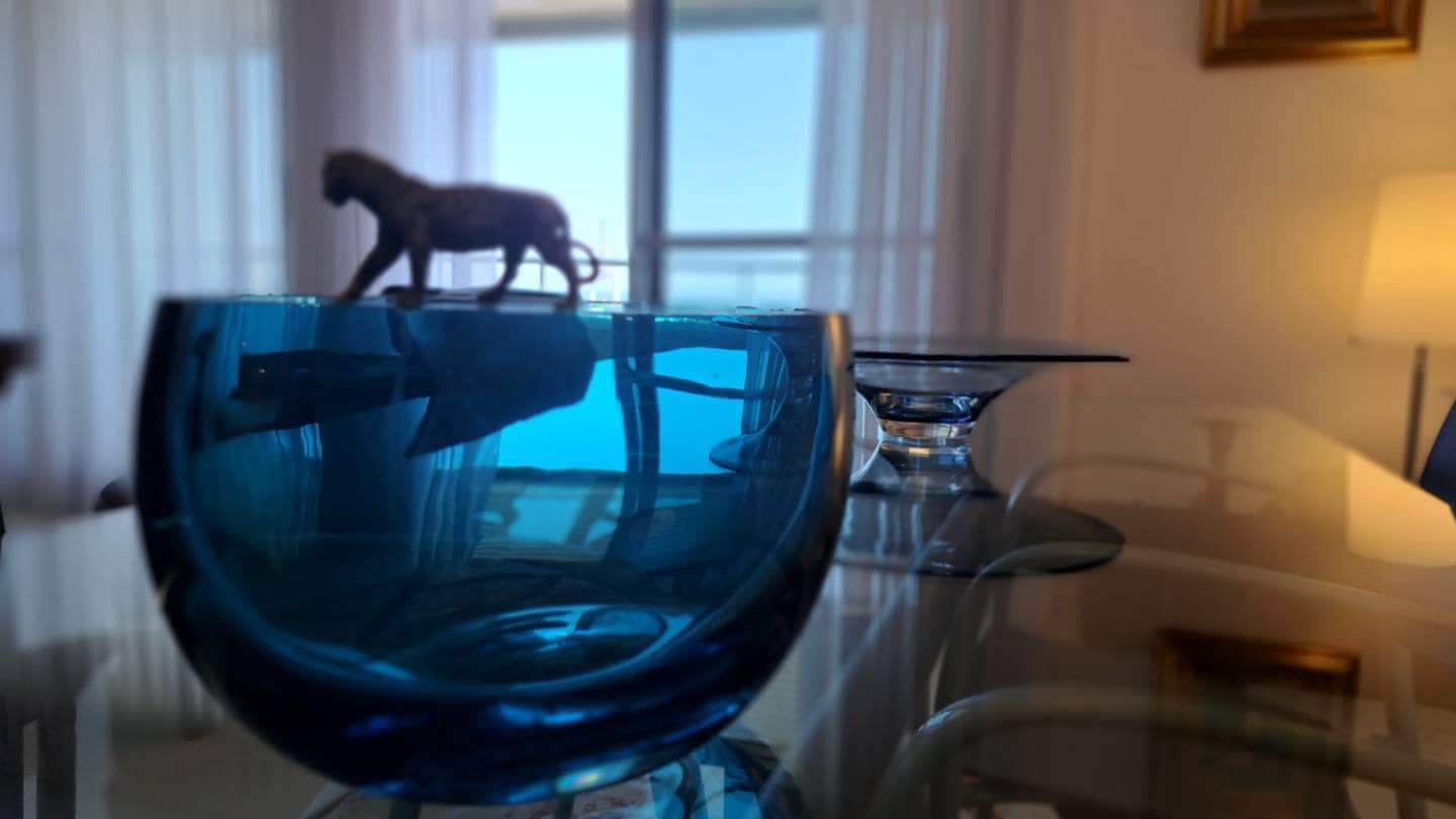 4 soverom Leilighet til salgs i Alicante by med garasje - € 740 000 (Ref: 9640568)