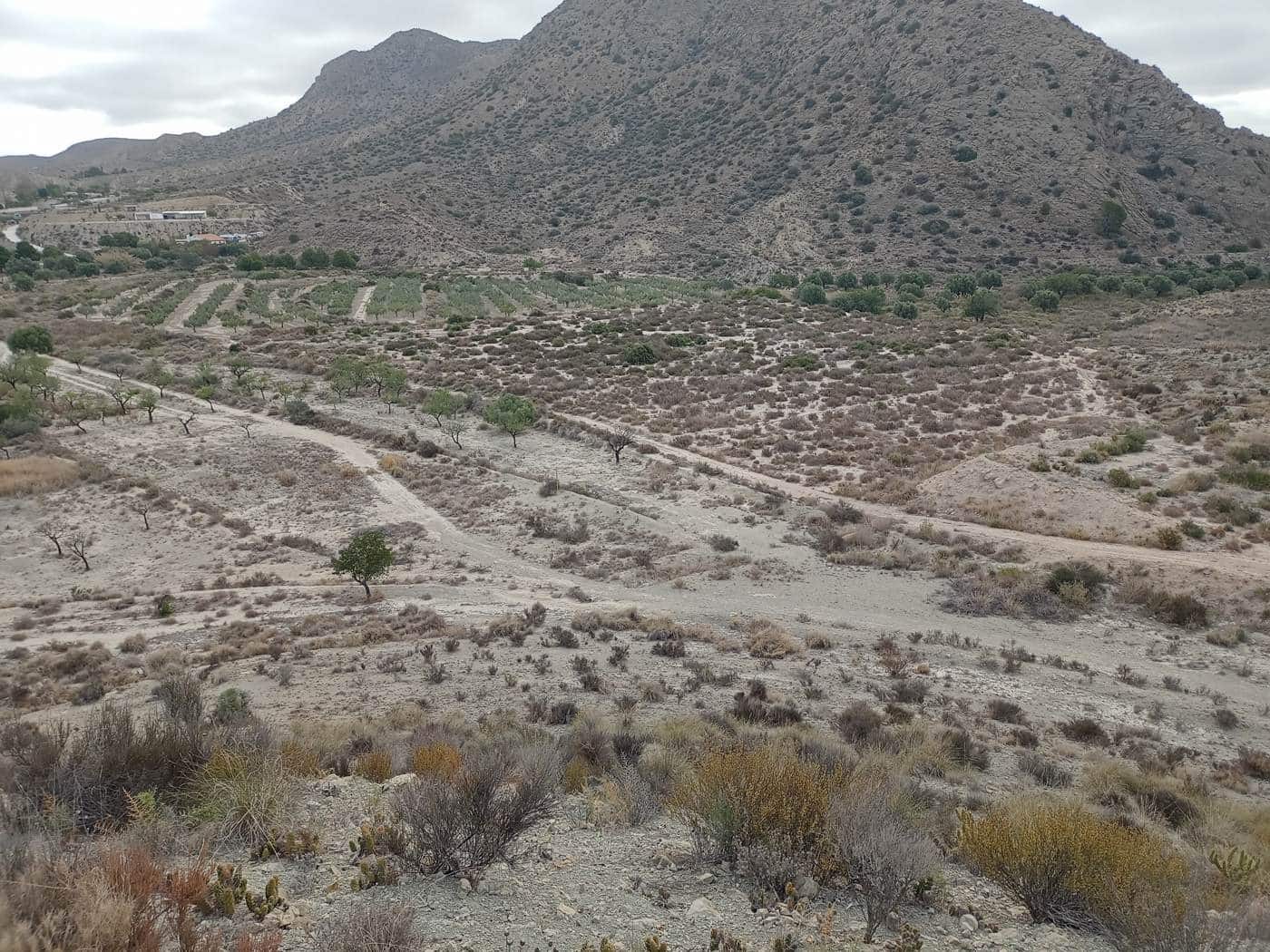 Terrain à Bâtir à vendre à Alicante ville - 95 000 € (Ref: 9640574)