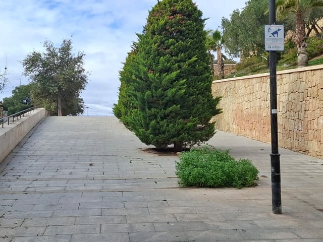 2 bedroom Apartment for rent in Colonia Requena, Alicante / Alacant city - € 850 (Ref: 9550238)