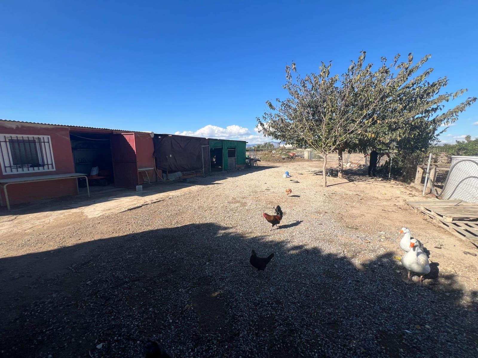 4 sovrum Finca/Hus på landet till salu i Dolores med pool - 525 000 € (Ref: 9415898)