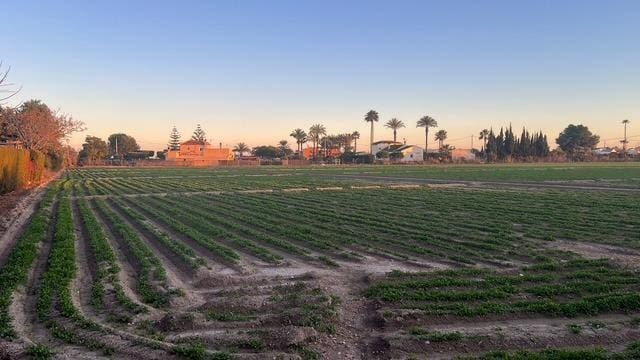 Area Edificabile in vendita in Dolores - 126.000 € (Rif: 9518881)