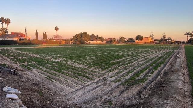 Area Edificabile in vendita in Dolores - 126.000 € (Rif: 9518881)