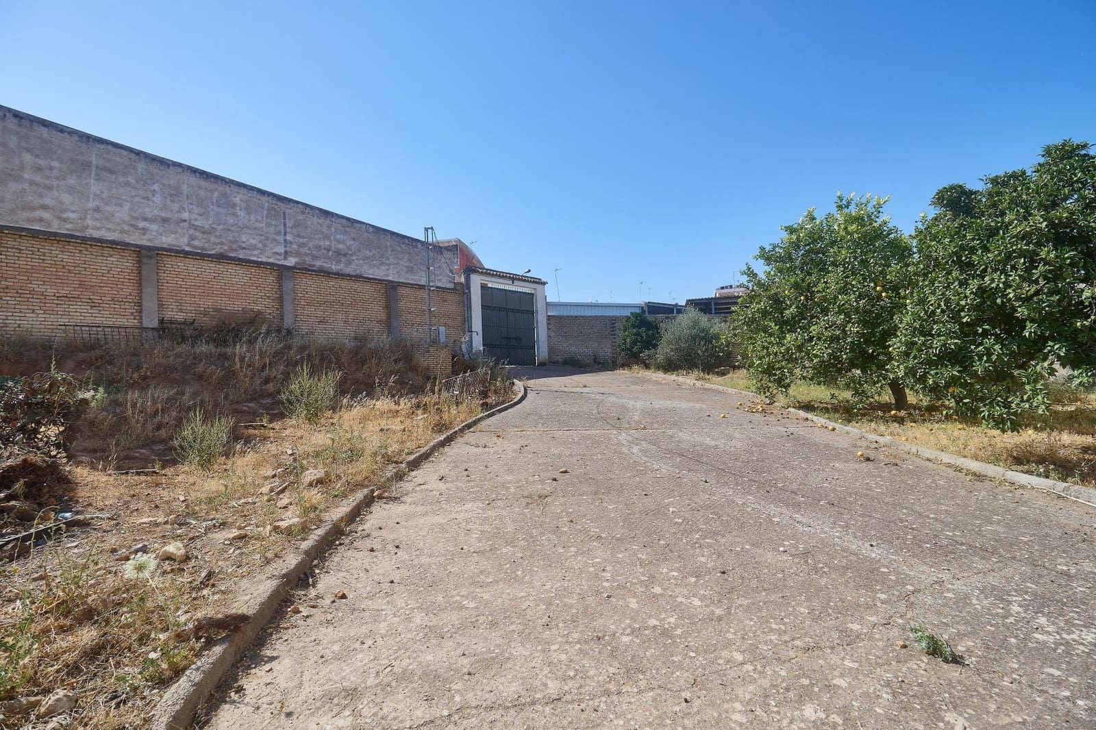 1 quarto Empresa para venda em Aguilar de la Frontera com garagem - 1 050 000 € (Ref: 9913265)