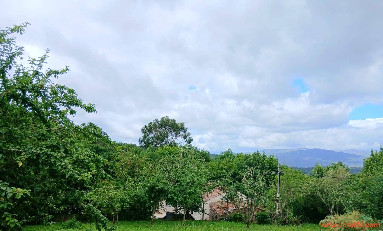 4 bedroom Finca/Country House for sale in Ribadavia - € 65,000 (Ref: 10018758)