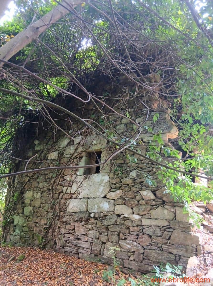 4 bedroom Finca/Country House for sale in Ribadavia - € 65,000 (Ref: 10018758)