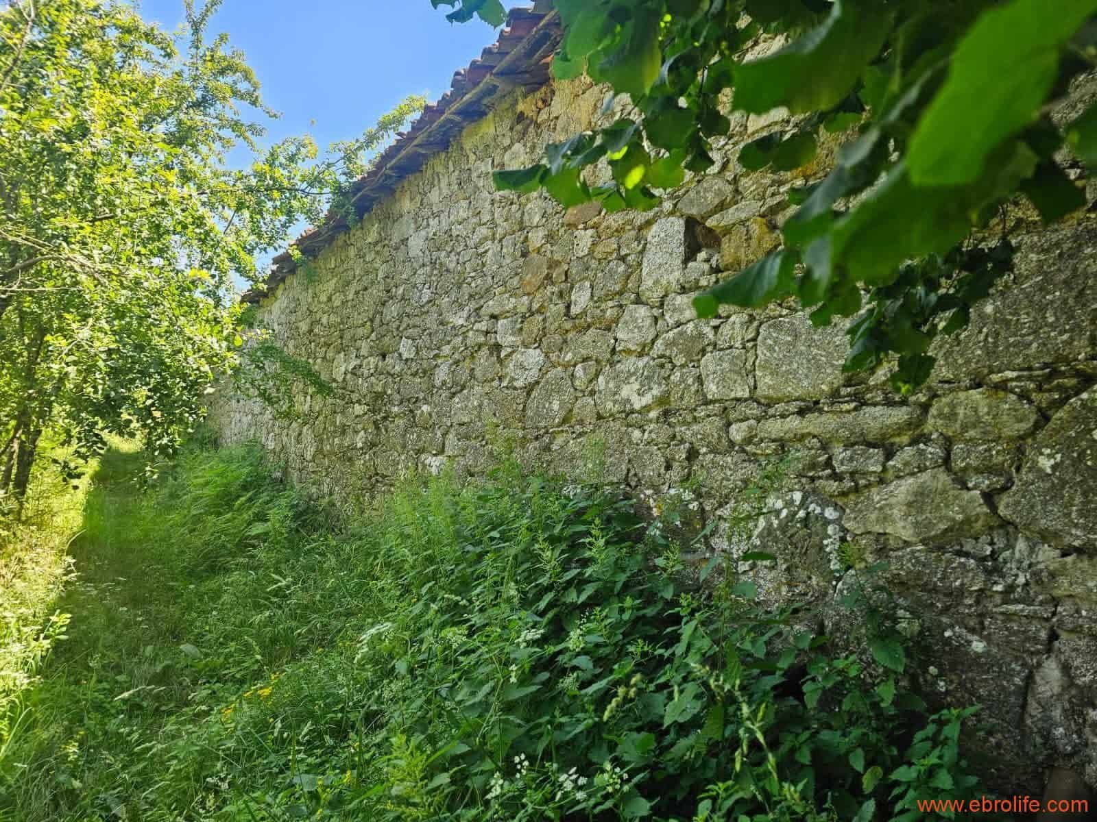 4 bedroom Finca/Country House for sale in Ribadavia - € 65,000 (Ref: 10018758)