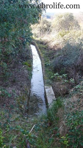 6 bedroom Finca/Country House for sale in Maella - € 170,000 (Ref: 5742820)