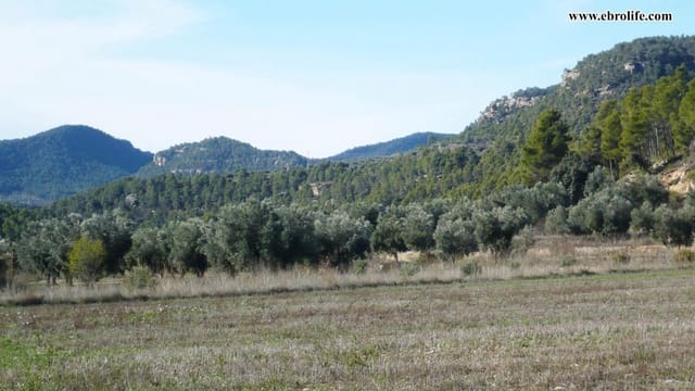 Finca/Casa di Campagna in vendita in Ráfales - 24.000 € (Rif: 5742821)