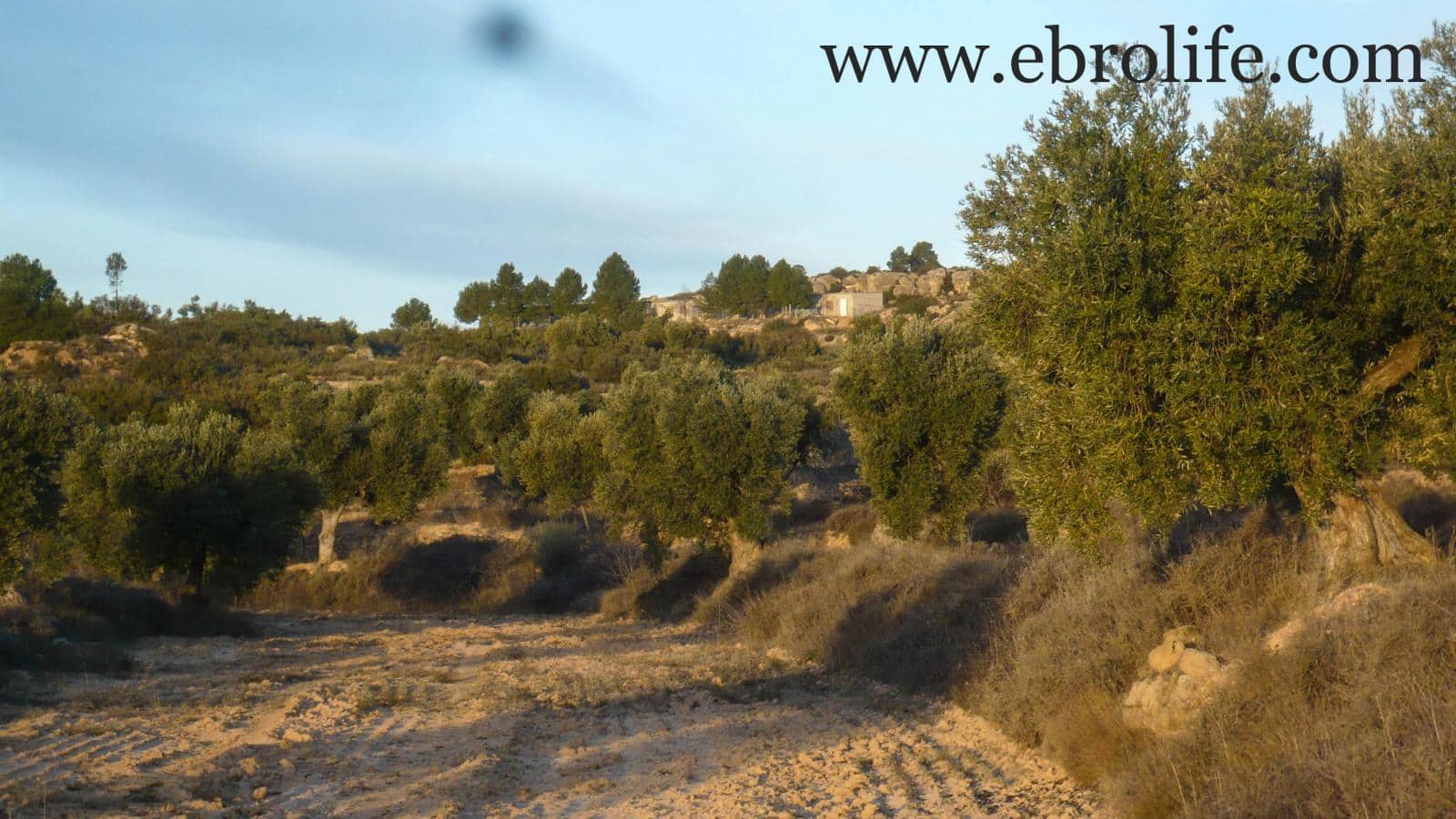 Finca/Landehus til salg i Maella - € 35.000 (Ref: 5742824)