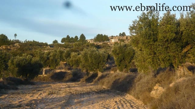 Finka/Dom wiejski na sprzedaż w Maella - 35 000 € (Ref: 5742824)