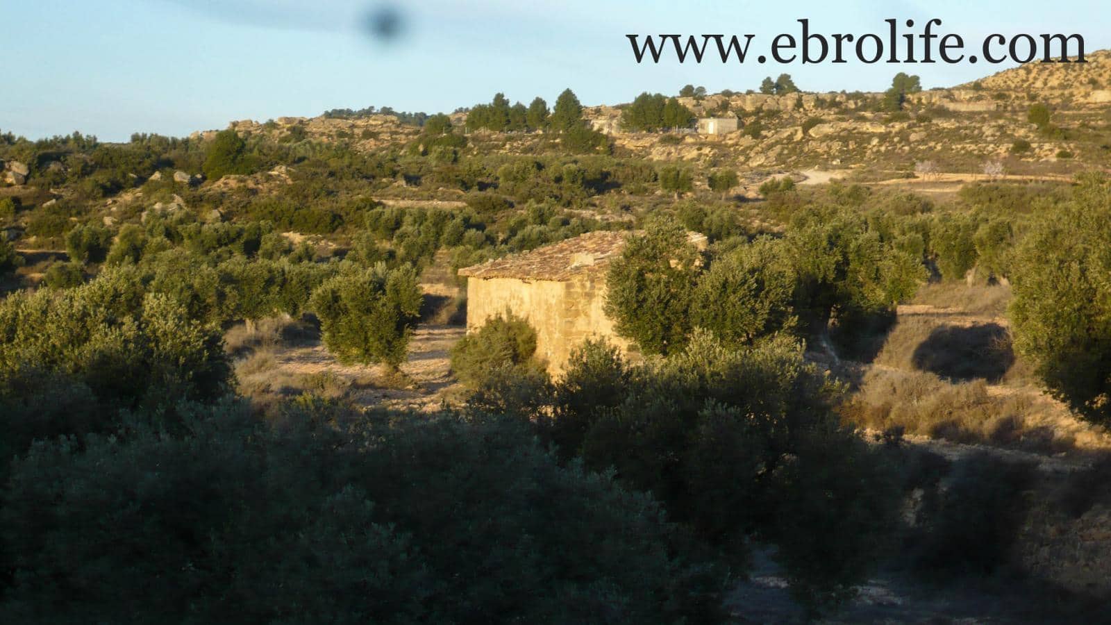 Finca/Landehus til salg i Maella - € 35.000 (Ref: 5742824)