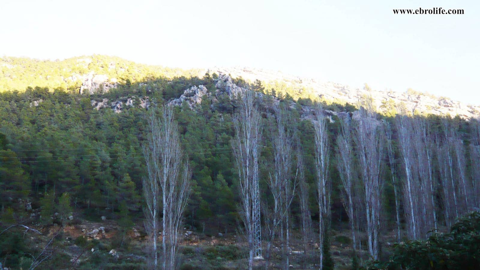 Finca/Landhuis te koop in Valderrobres - € 75.000 (Ref: 5742843)