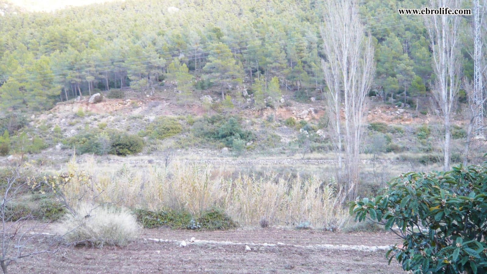 Finca/Landhuis te koop in Valderrobres - € 75.000 (Ref: 5742843)